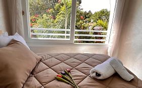 Studio De Charme Renove - Fibre- Centre Rabat